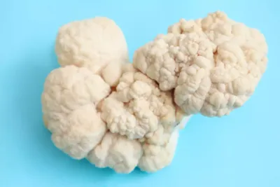 Melena de León y su efecto en el cerebro