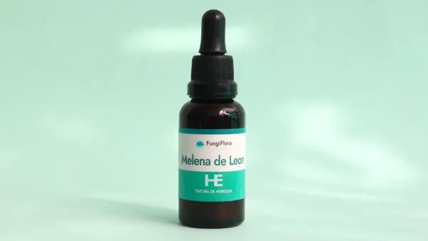 Recetas funcionales con hongos medicinales