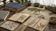 Manuscritos botánicos, especímenes de plantas y cerámica sobre una mesa de estudio
