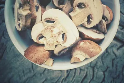 Propiedades nutricionales de los hongos