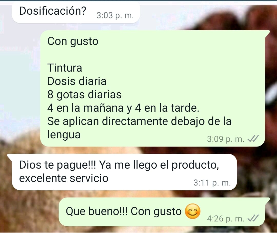 Opinión real de cliente por WhatsApp 4