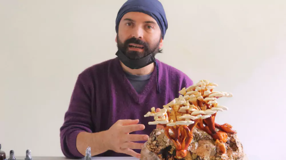 Felipe Vengoechea — Micólogo y Fungicultor