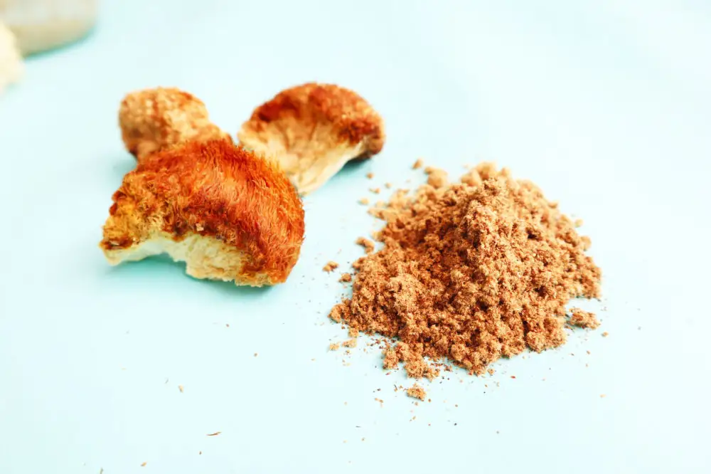 El polvo de Melena de León de cuerpo fructífero entero es el formato más versátil y el usado en los estudios clínicos: se mezcla en café, batidos o agua y aporta beta-glucanos más fibra prebiótica