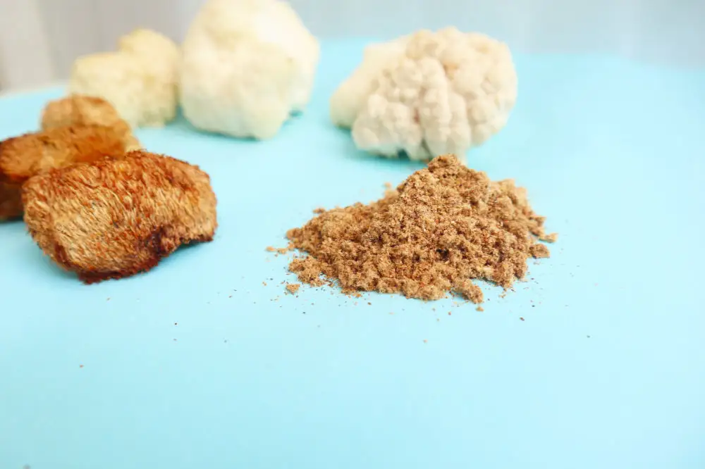 La Melena de León se consume en múltiples formatos -- polvo de cuerpo fructífero, tintura de doble extracción, cápsulas y hongo seco -- cada uno con diferente perfil de absorción y biodisponibilidad de compuestos activos