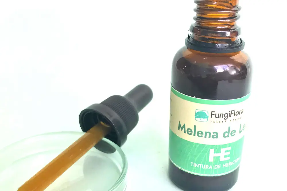 La tintura de doble extracción de Melena de León ofrece la absorción más rápida de erinacinas por vía sublingual, ideal para quienes priorizan la regeneración neuronal sobre el beneficio digestivo
