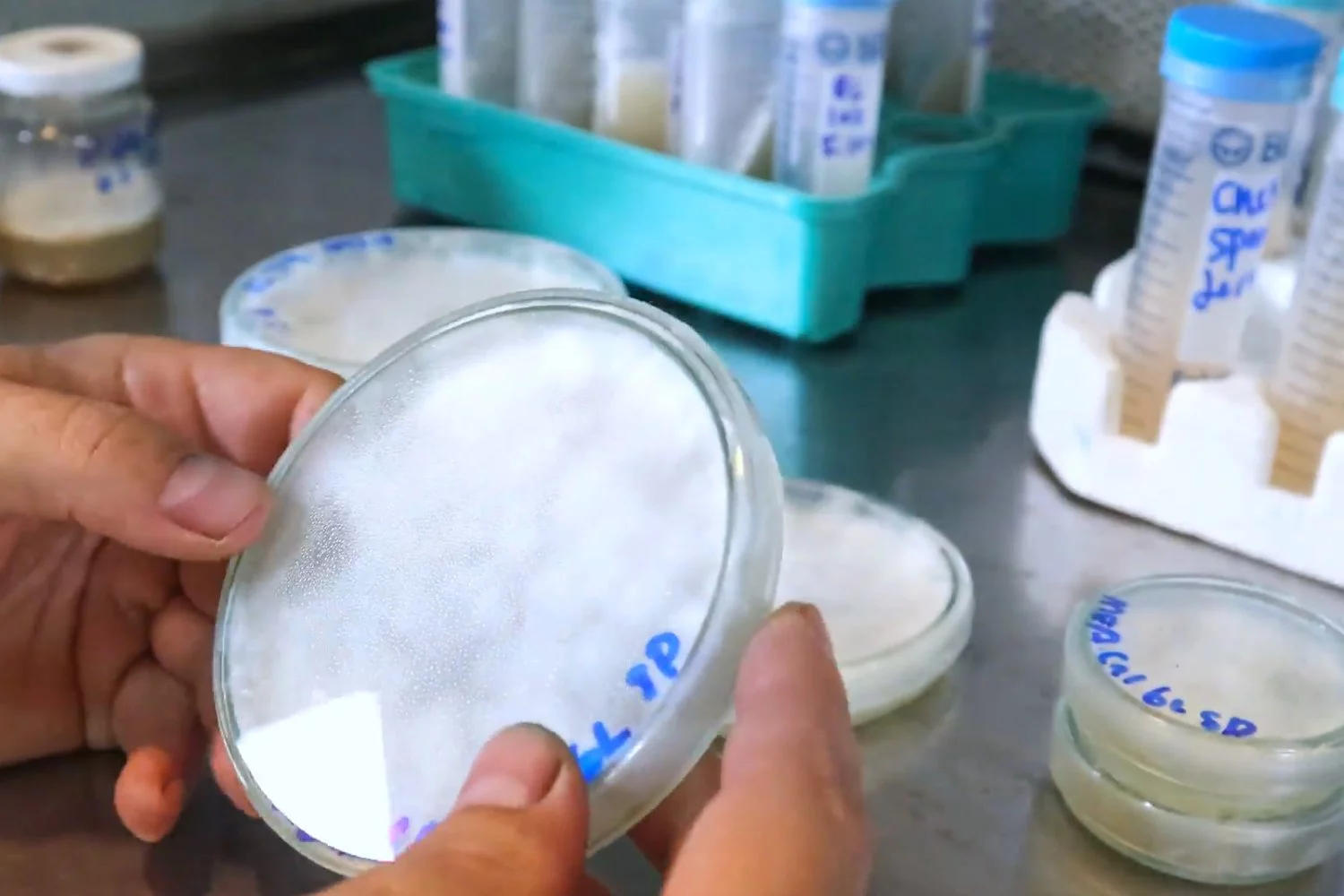 Control analítico de agua en laboratorio para pH y conductividad