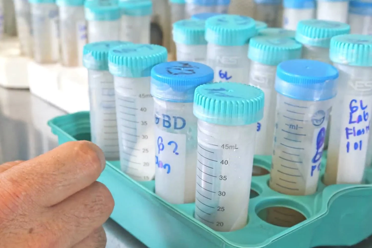 Manipulación estéril en flujo laminar durante el proceso