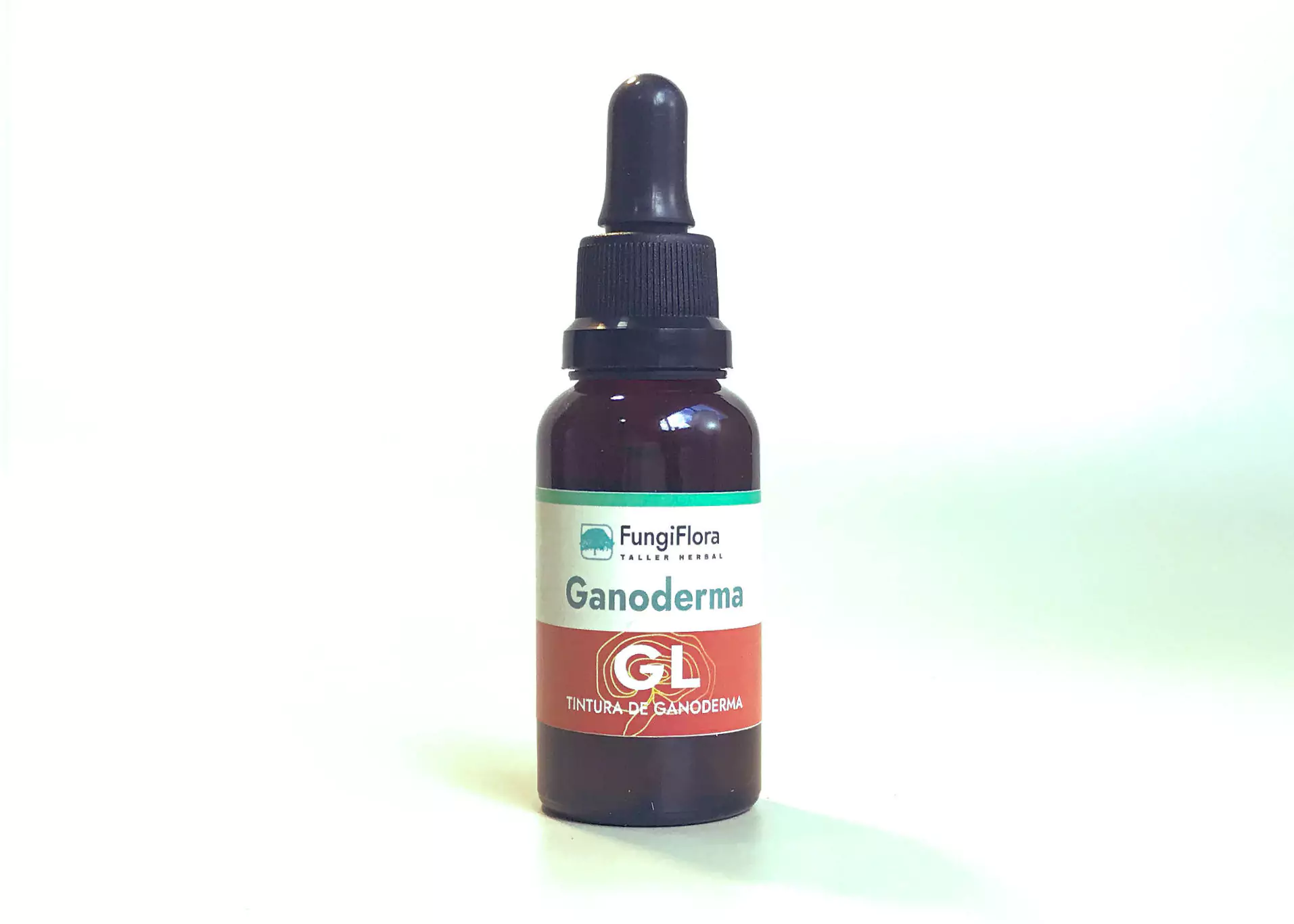 Tintura de hongos obtenida con protocolo de extracción reproducible