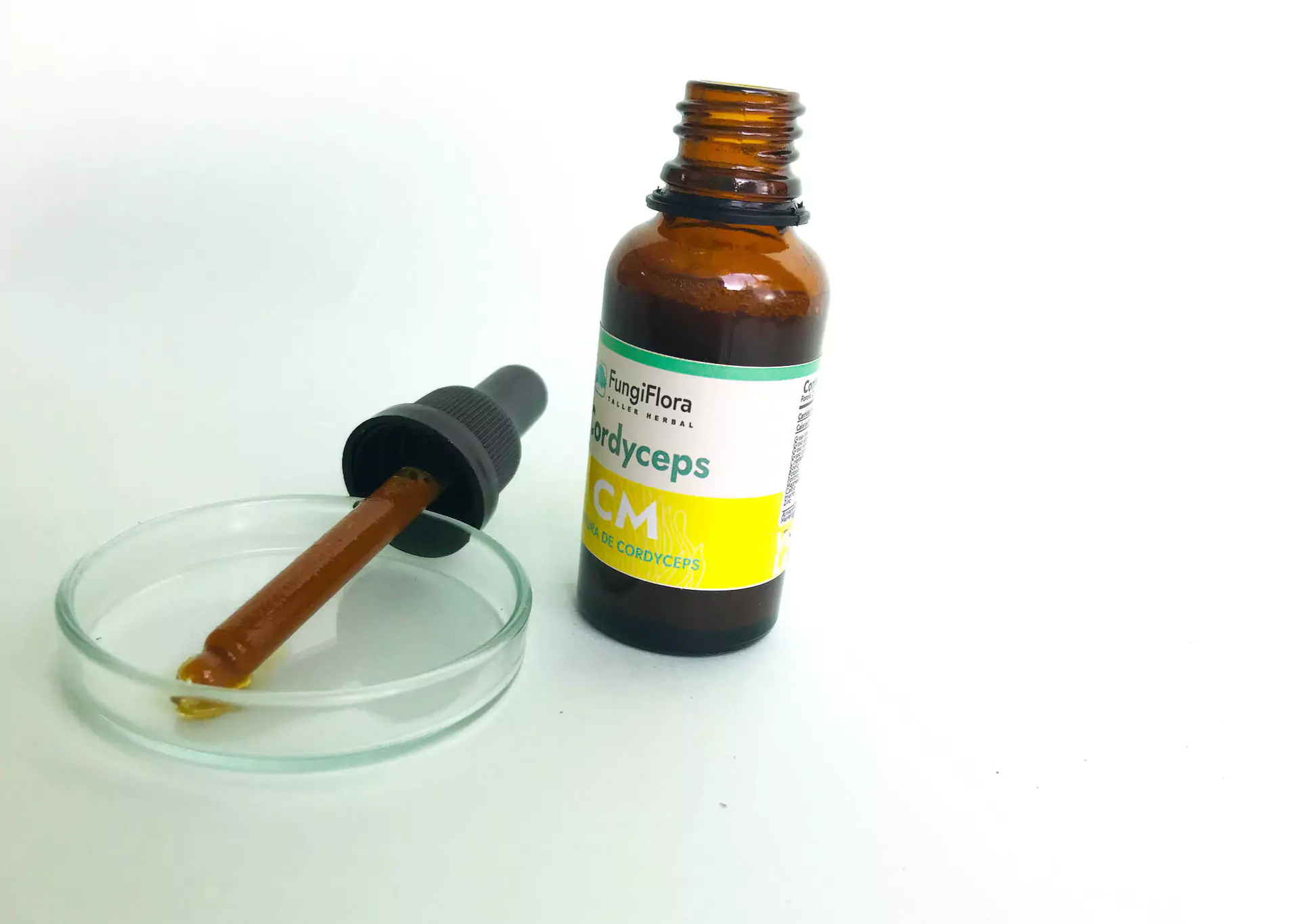 Cordycpes muestra 6855cfce743a8