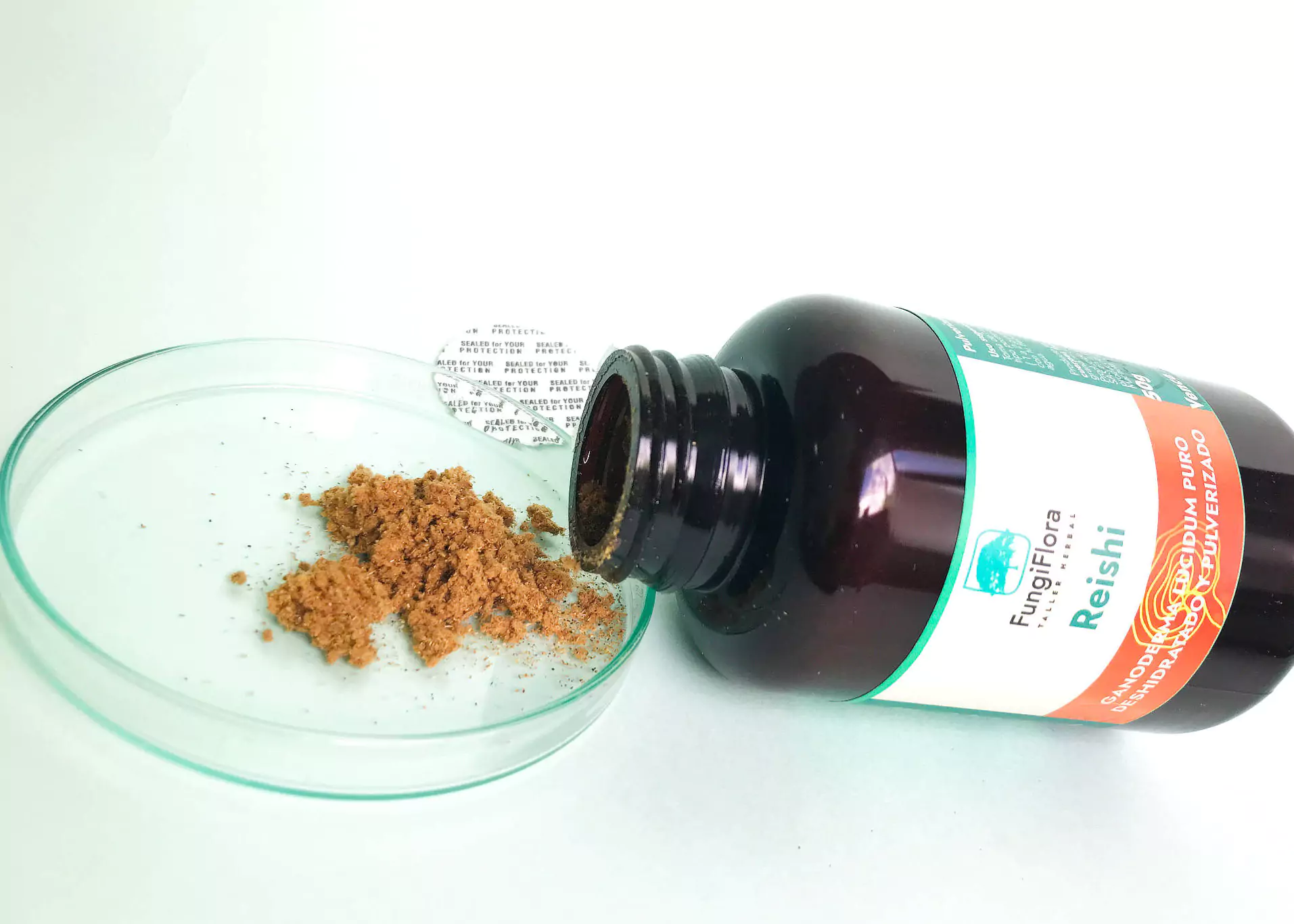 Reishi polvo muestra 6855cfaaec043