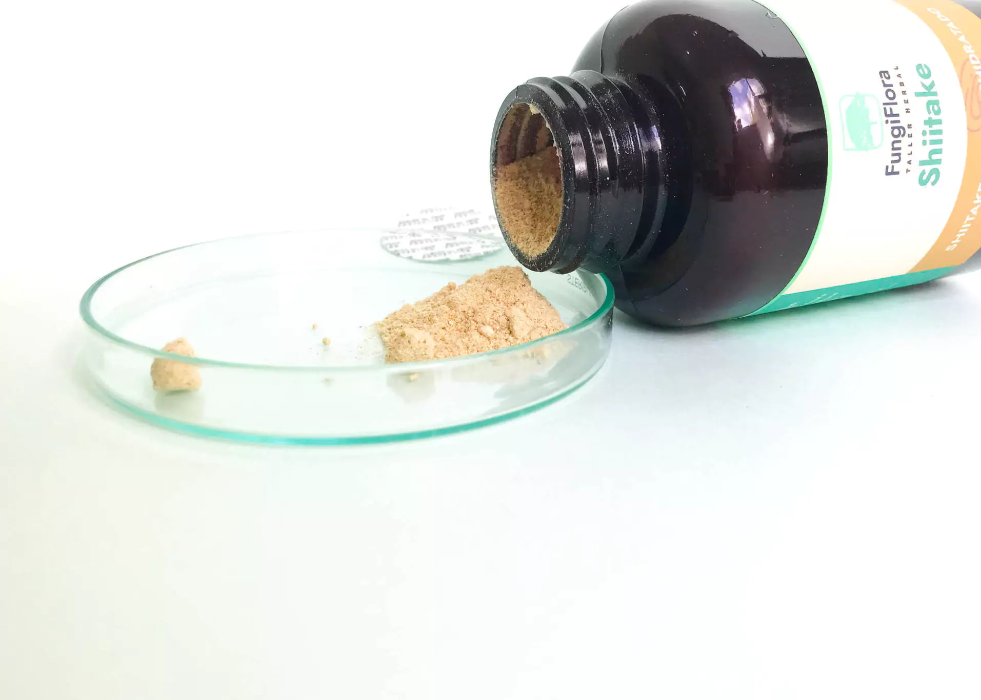 Shitake polvo muestra 6855cfb19dec5