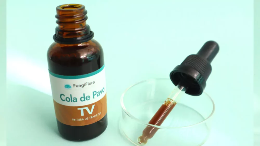 Tintura trametes versicolor scaled