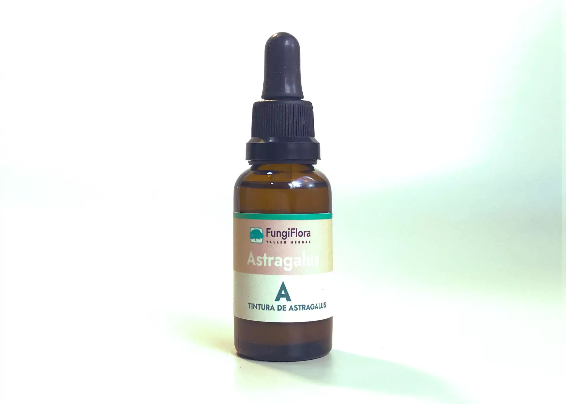 Astragalus 6855cf670e2a2