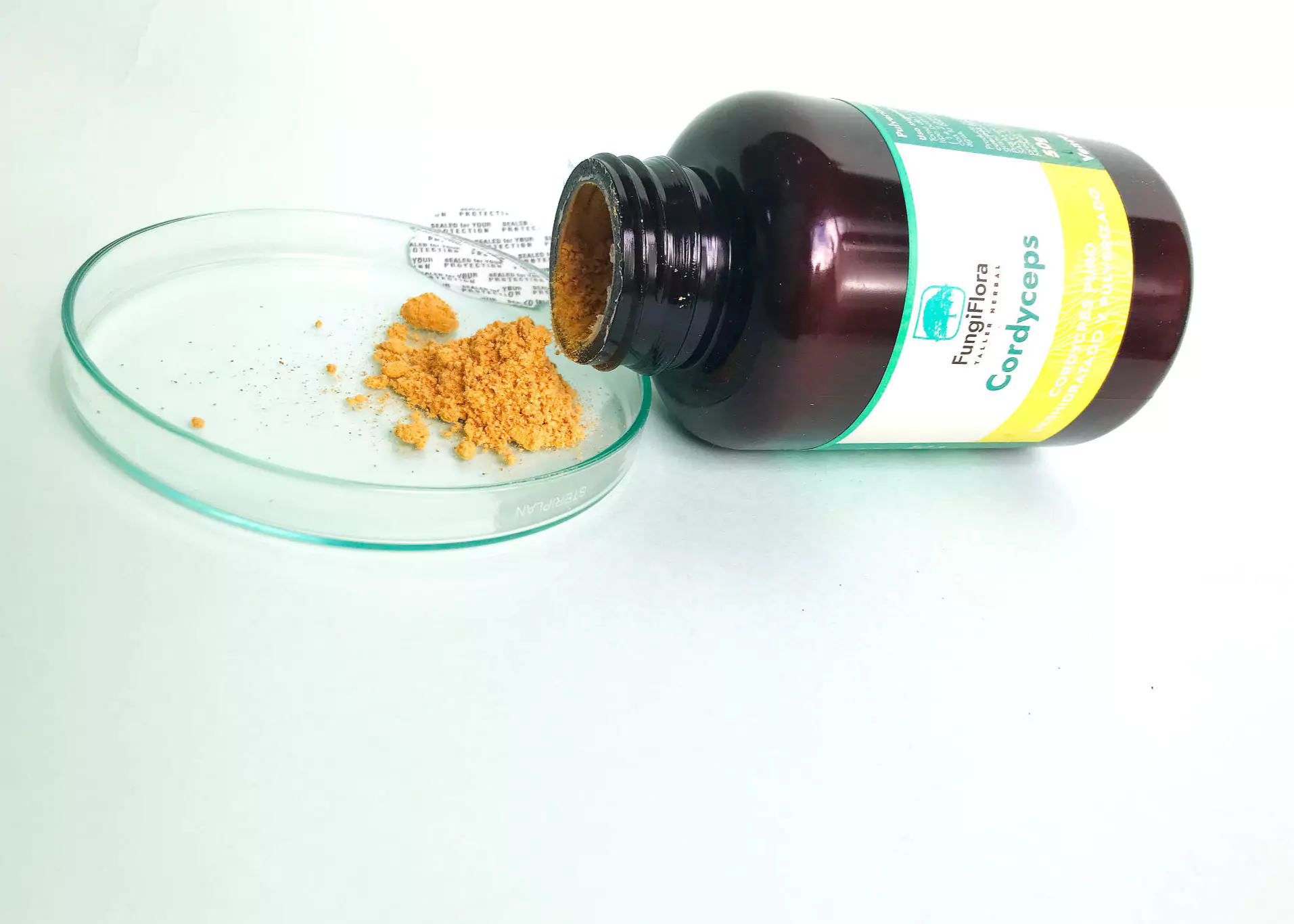Cordycpes muestra polvo 6855cfab772c2